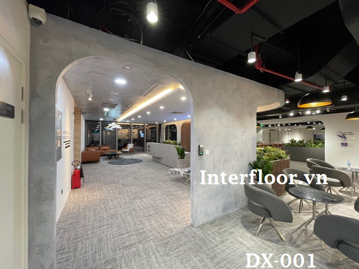 Thảm DX 001